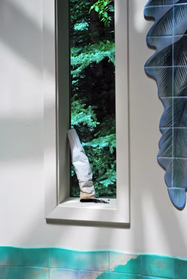 rolliewindowweb.jpg