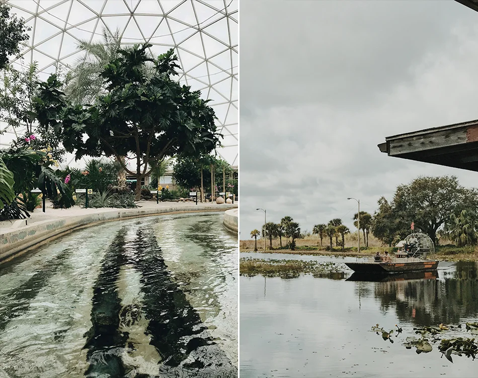 orlando12.jpg