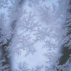 snowflakes