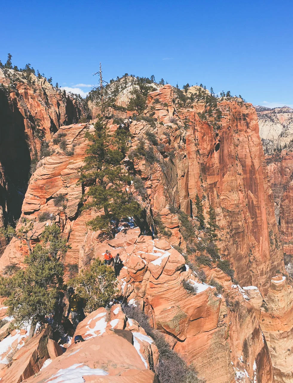 Scout's Overlook from Angel's Landing
