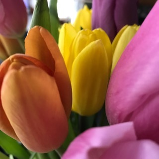 The earth laughs in flowers. — Ralph Waldo Emerson