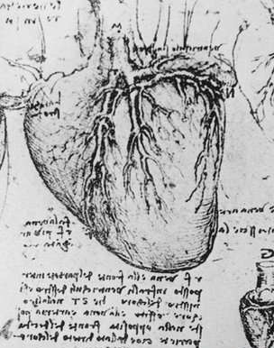 Heart sketch showing Da Vinci's backward writing.