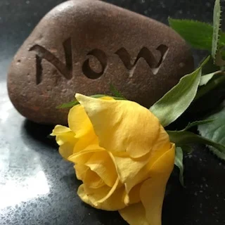 "Go for it now. The future is promised to no one." — Wayne Dyer