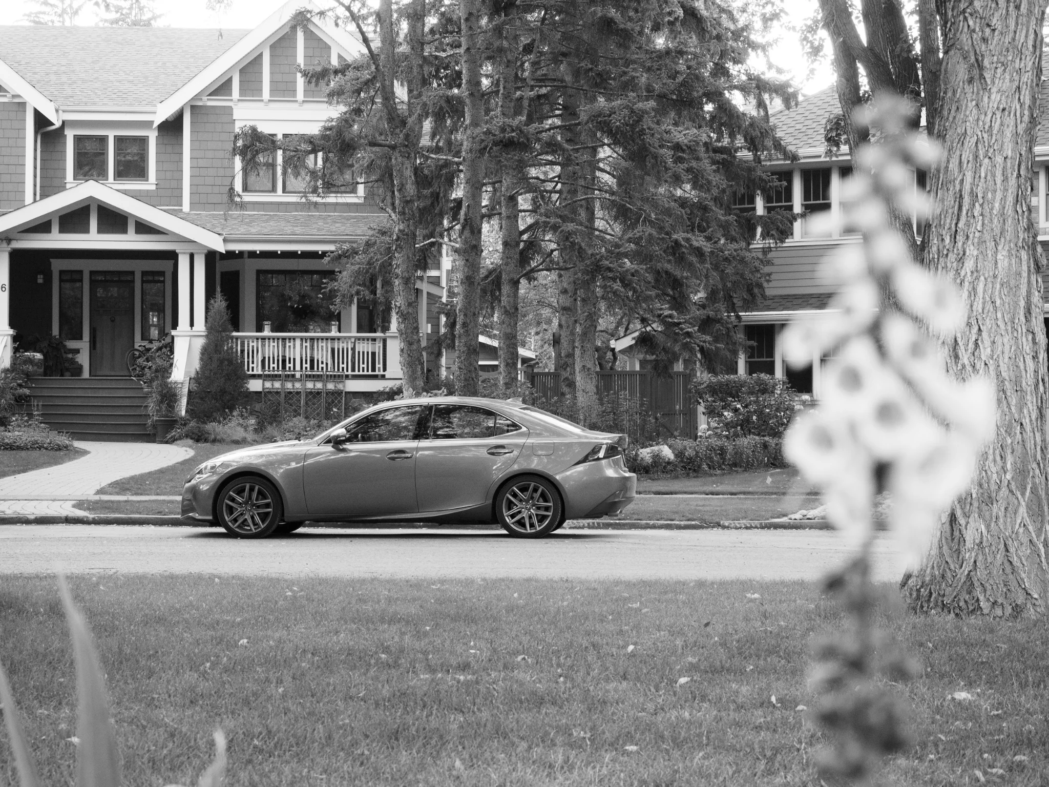 P8030423_BW.jpg