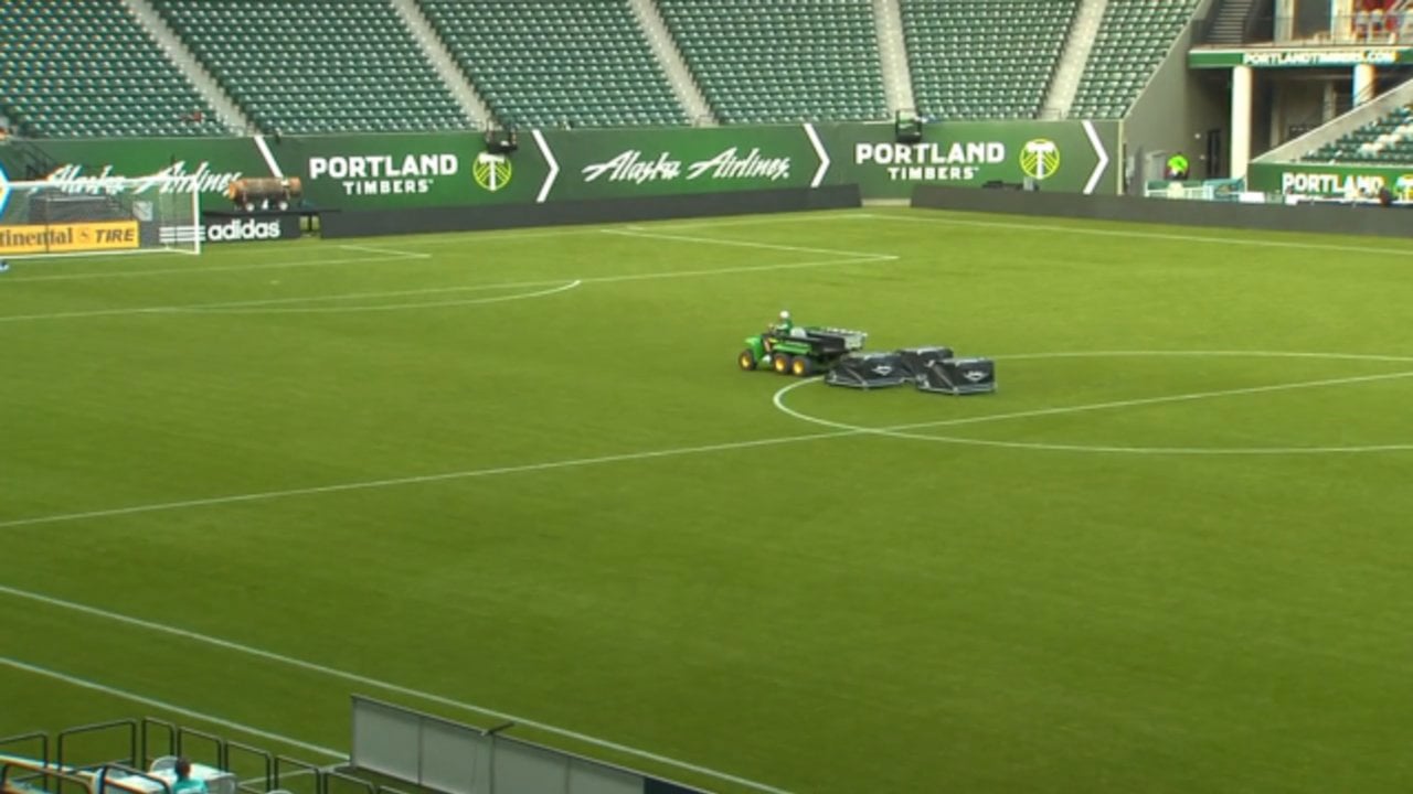 PTFC Perfect