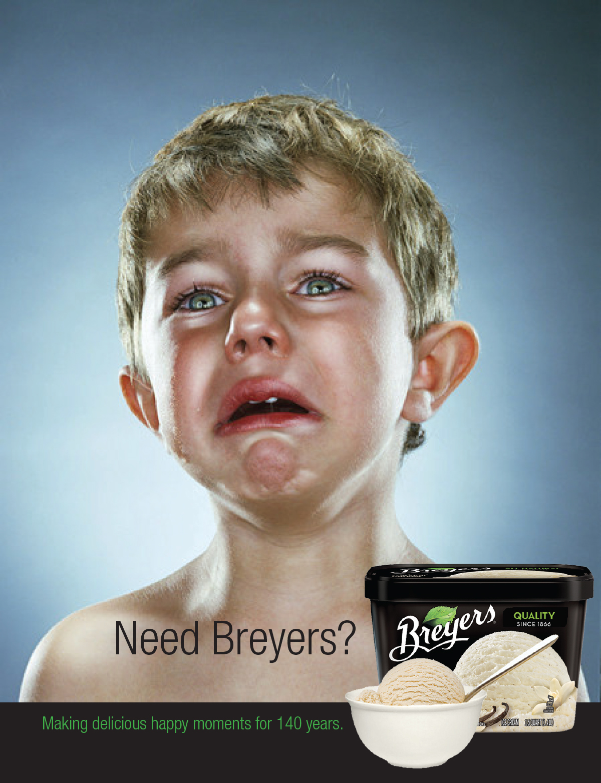 5-Need_Breyers.jpg