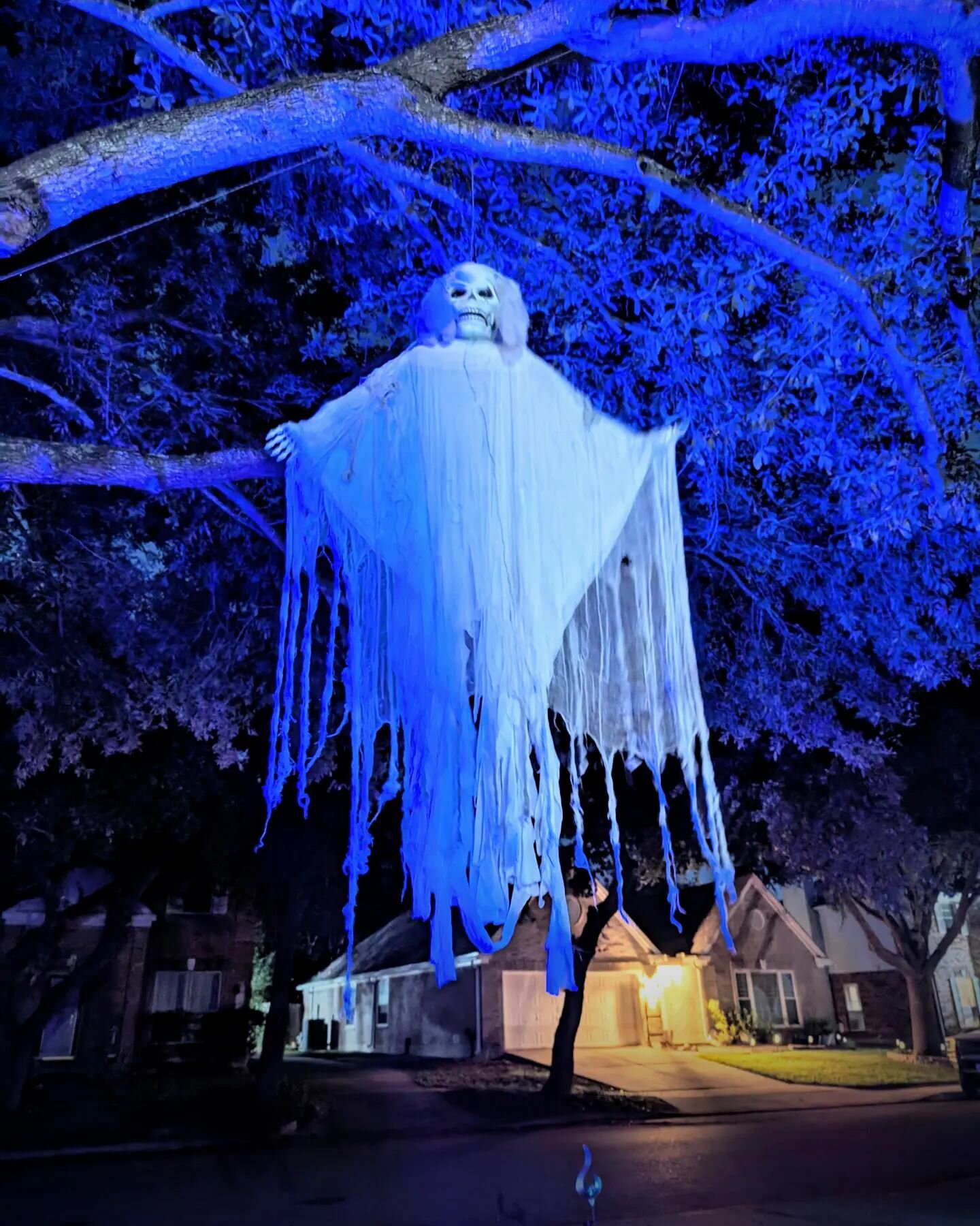 Floating over the front yard. (The neighborhood ghost). (Sad but true story)