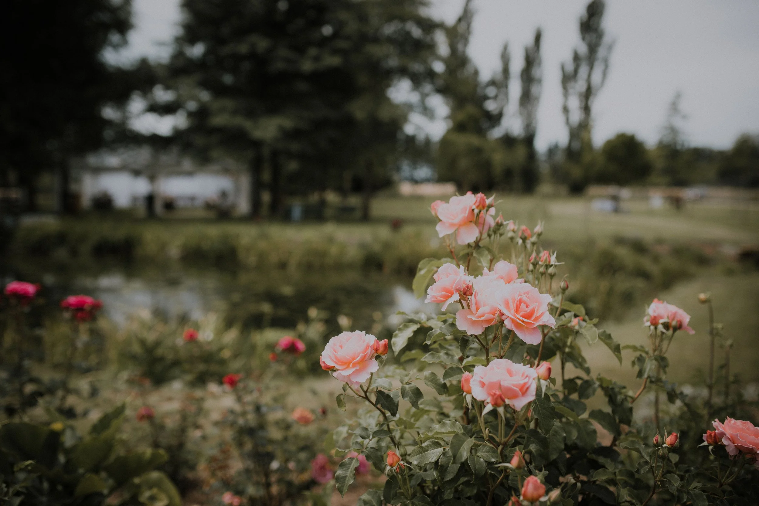 EliseRutherfordPhotography-46.jpg