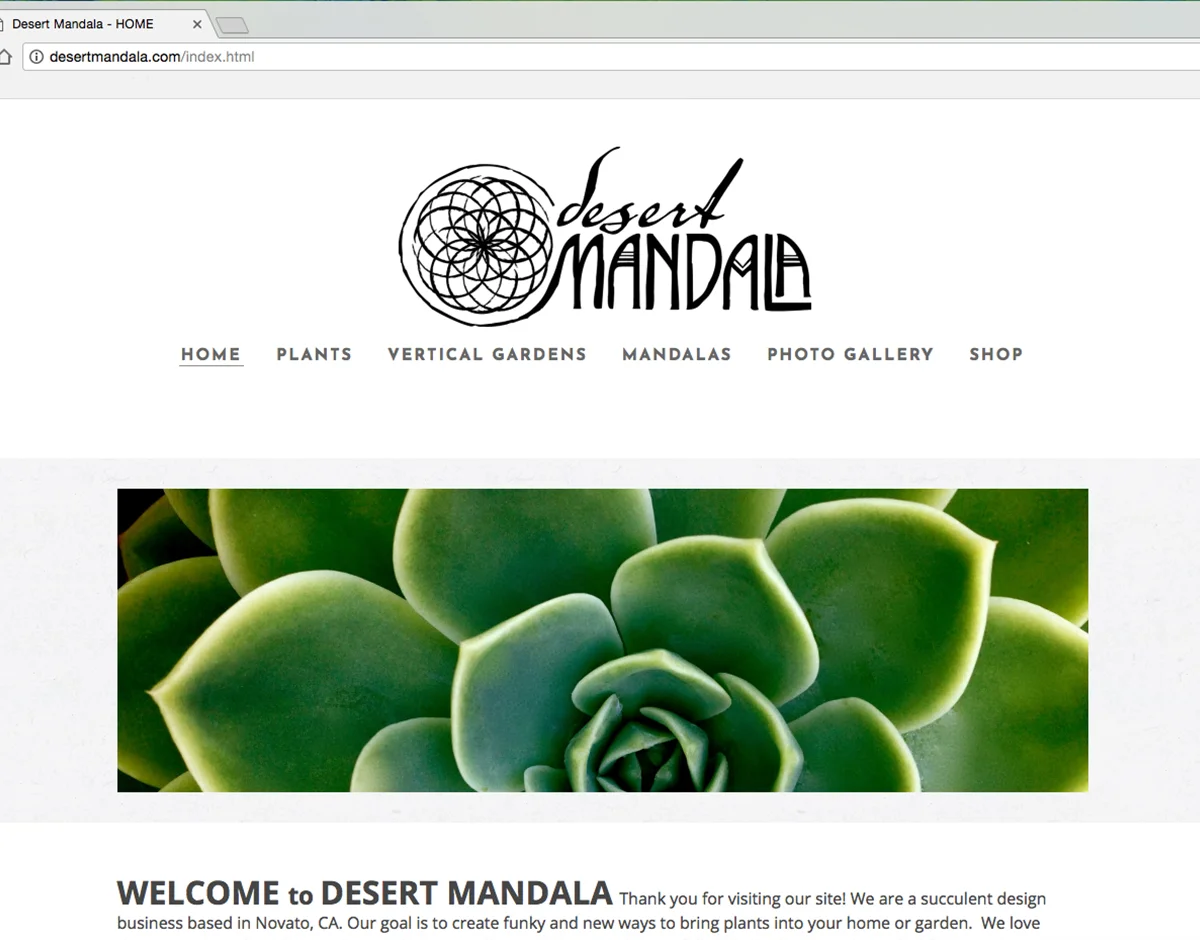 DM Brand-website.jpg