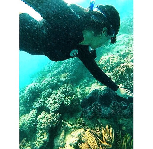 The Great Barrier Reef, Cairns, Queensland Australia