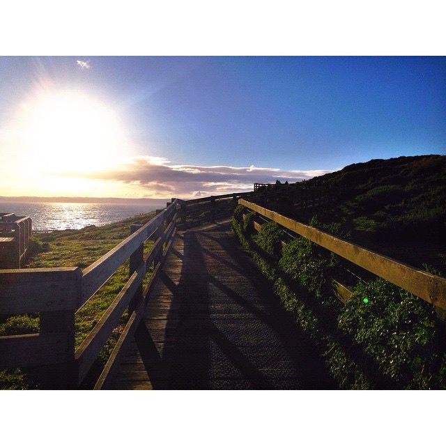 The Nobbies, Phillip Island, Victoria Australia