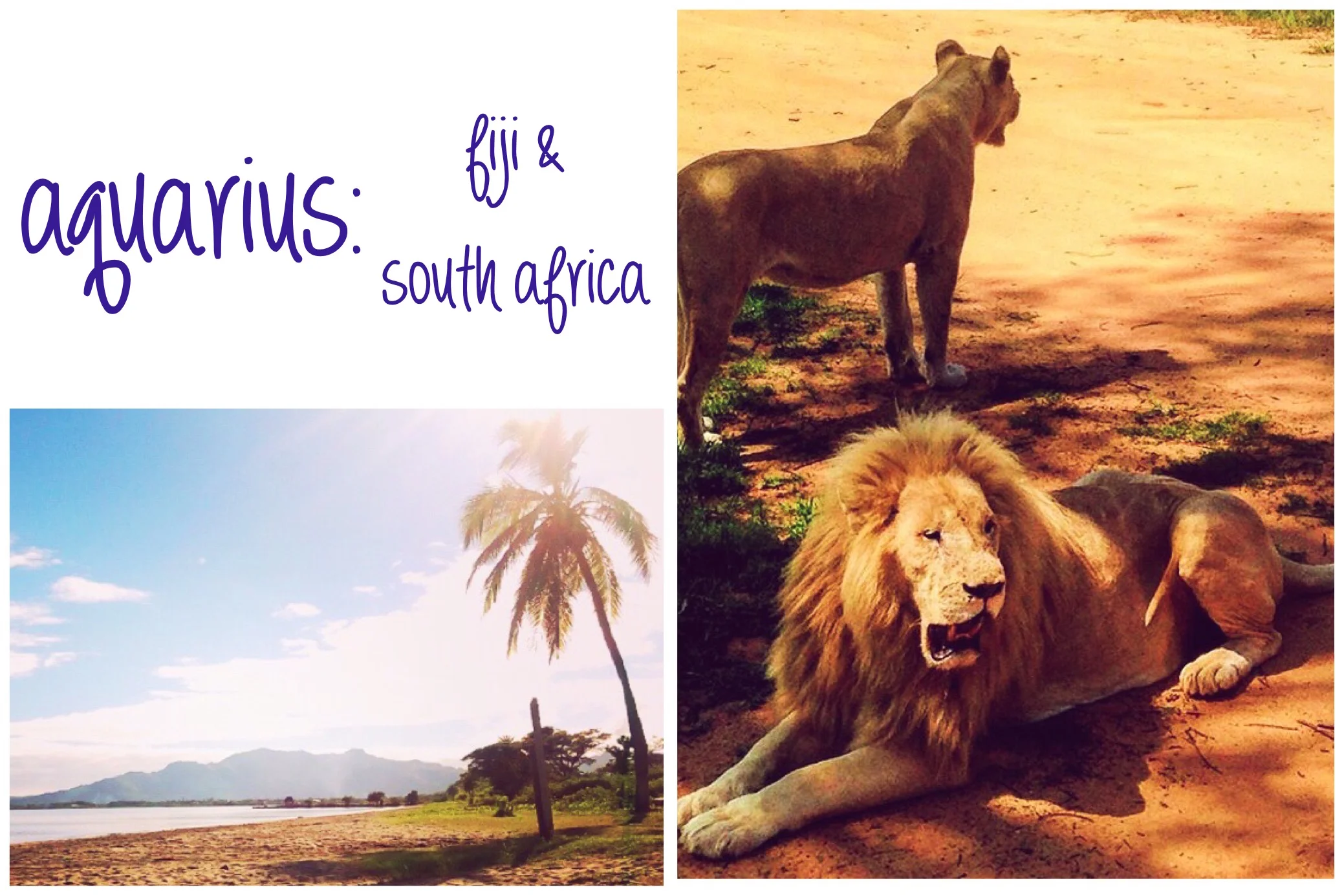 photo credit, fiji: instagram.com/jess_ismore/ // photo credit, south africa: instagram.com/thewildwildzest
