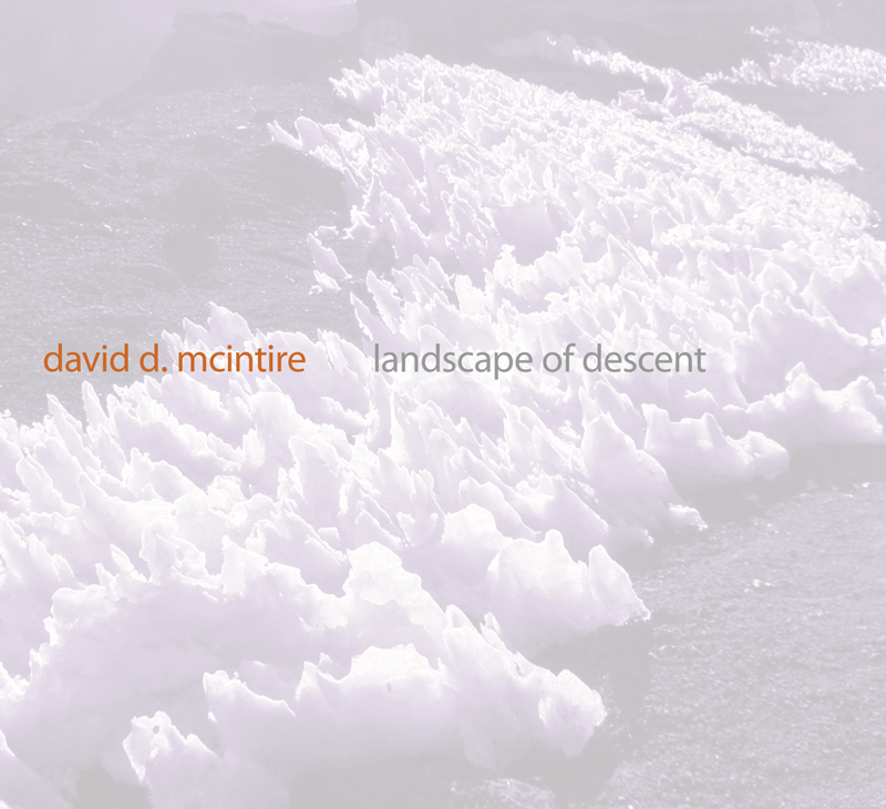 Landscape of Descent Irritable Hedgehog Music March 2013 CD packaging