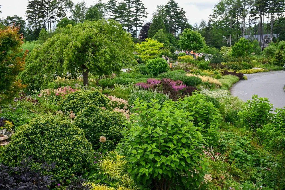 Inspiration from Coastal Maine Botanical Gardens | Meristem