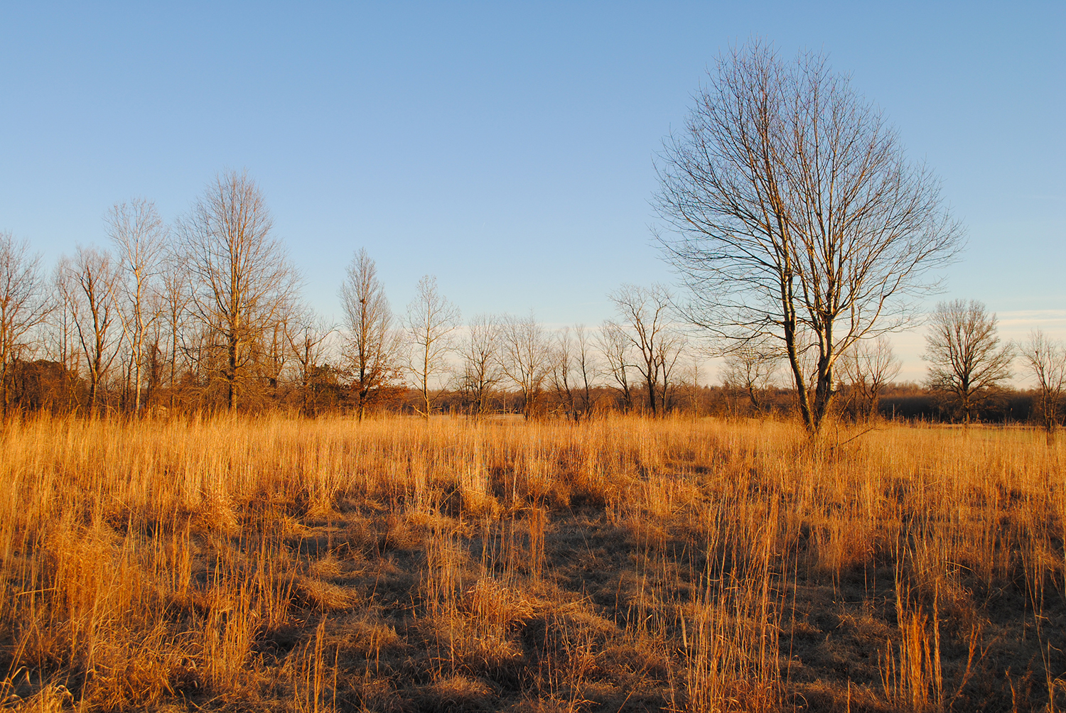 Food Prairies