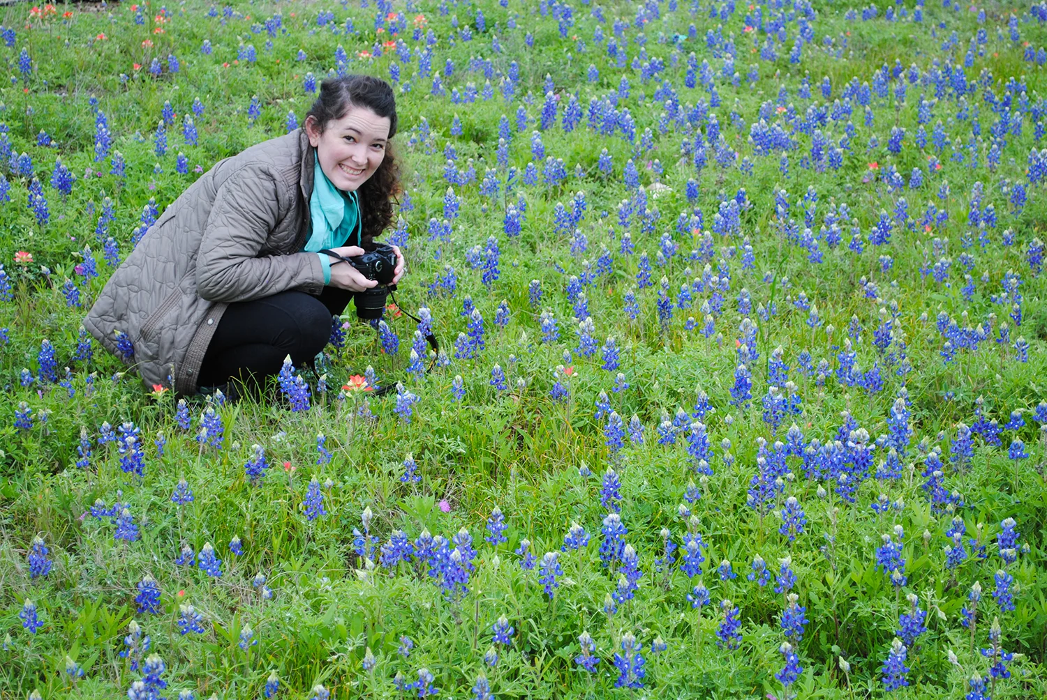 Karen photographing bluebonnets for later drawings. 
