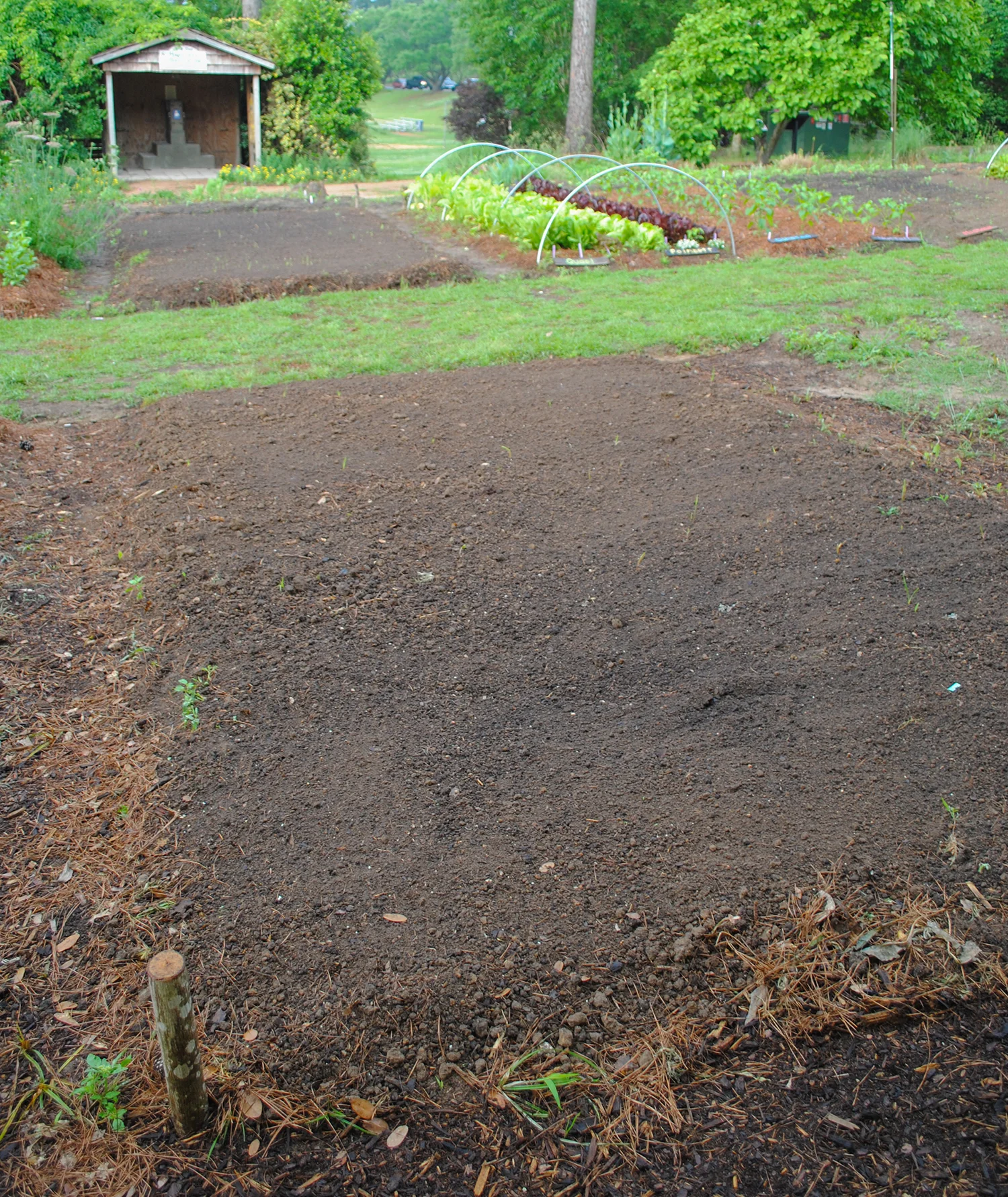 The blank slate of the food prairies! How exciting! 