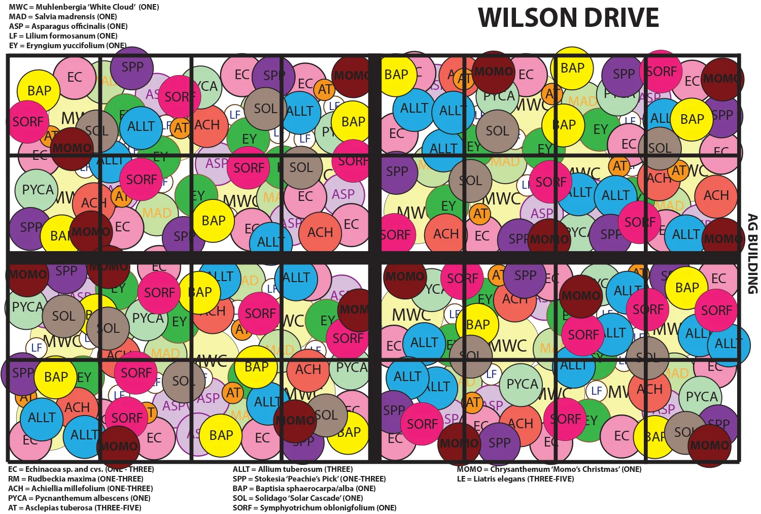 The food prairie design for the structural layer (plants listed above the design) and seasonal filler layer (plants listed below the design) is a kaleidoscope of color. Here the four quadrants separated by thick black lines are shown together instead of as their separate beds for ease. Circles approximate—and let me stress approximate as some species will spread—the final plant size. 