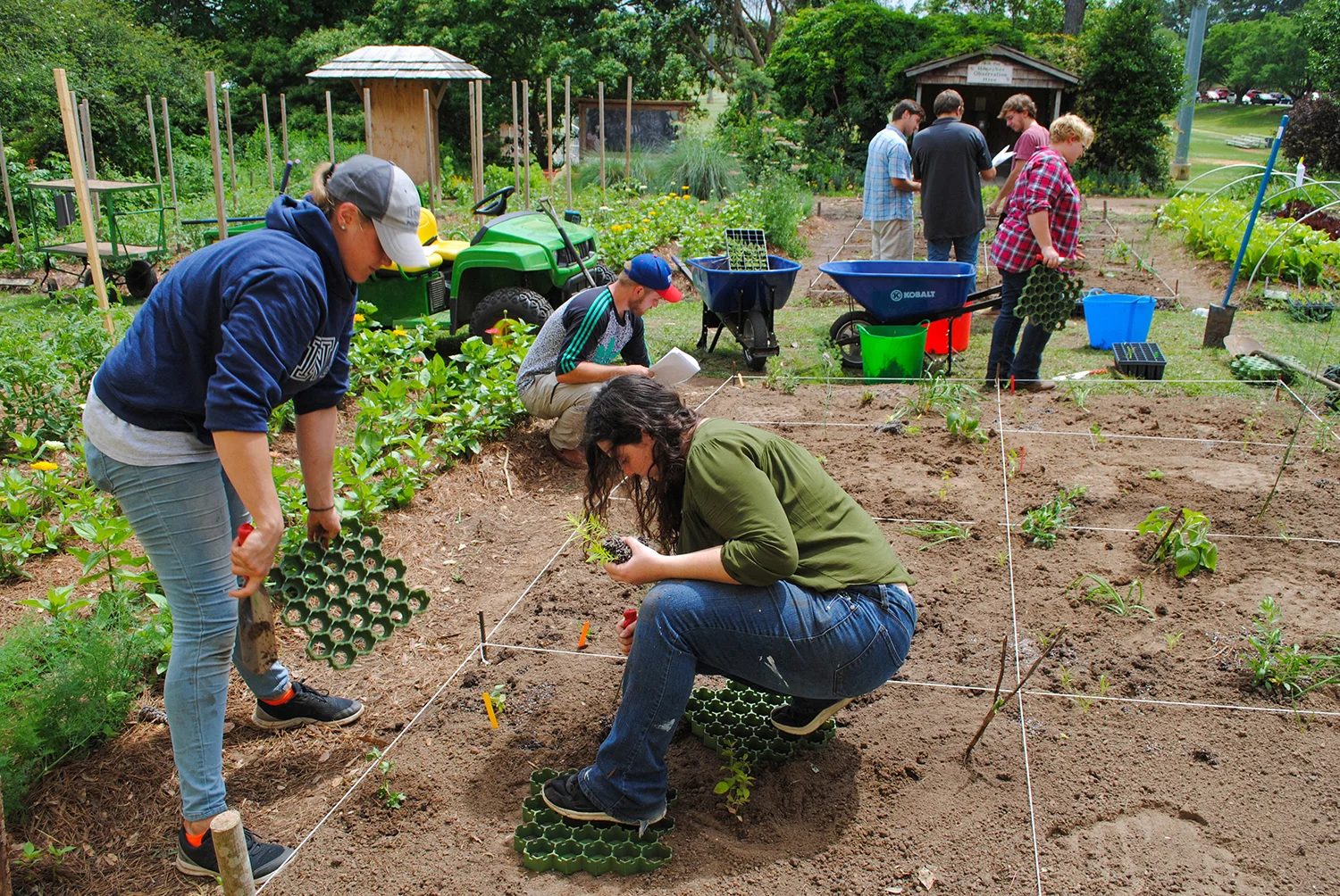Planting the Food Prairies