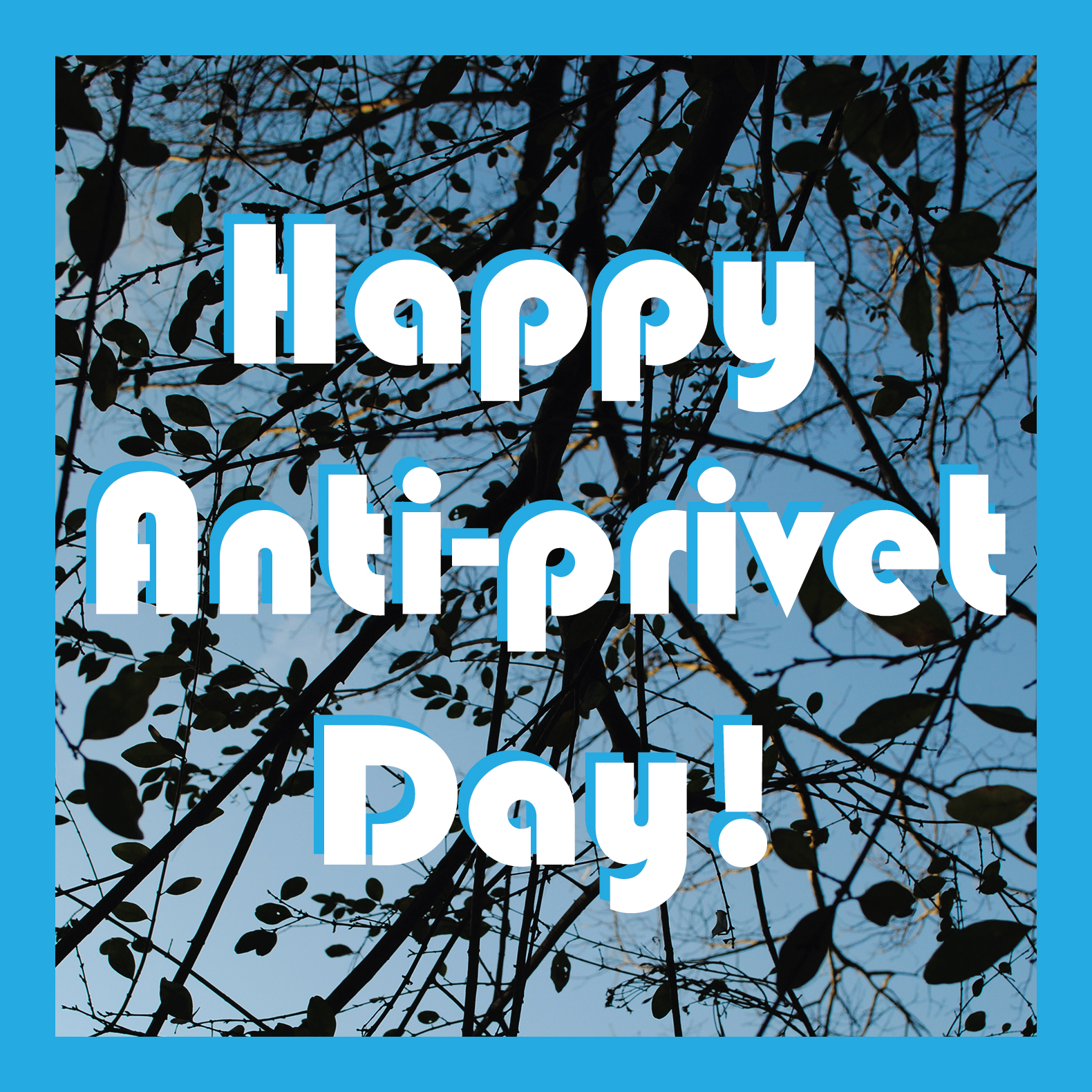 Happy Anti-privet Day!