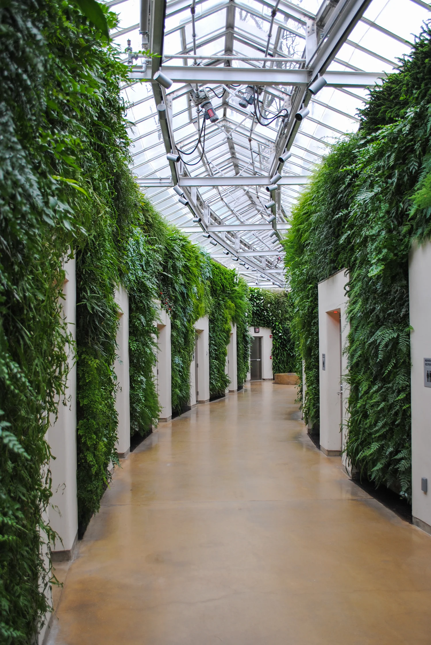 When you go to Longwood and you have to "go", you'll find the restrooms are nestled amongst the largest green wall in North America. 