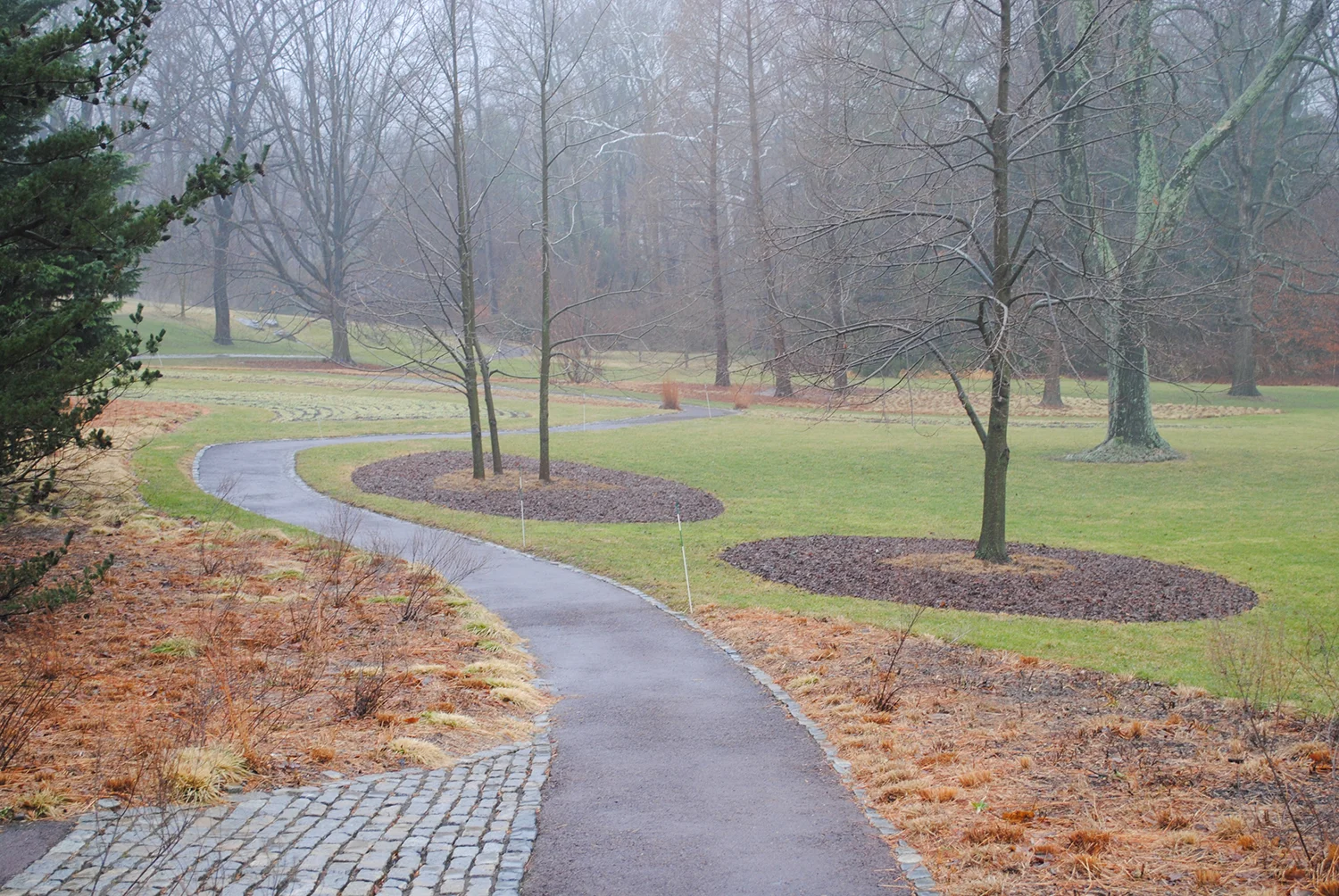 A close up from the previous image taken from the bottom of the elevated walkway. Here you can see different materials compose different beds. Mowed ornamental grass in the foreground, and fall leaves in the ovoid beds in the back. 