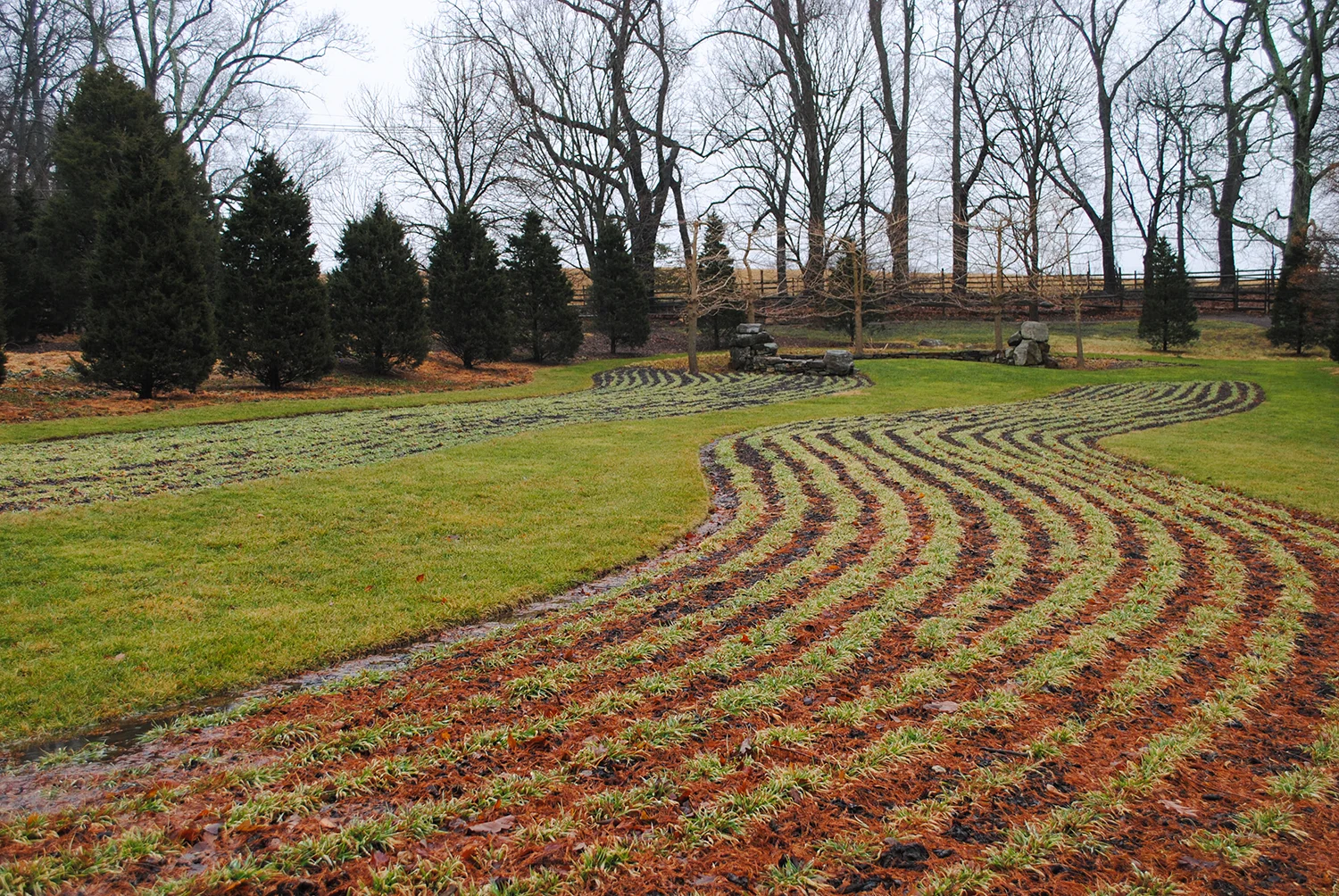 An upclose shot of the serpentine. Again, look at how neat that border is between the turf and the bed. 