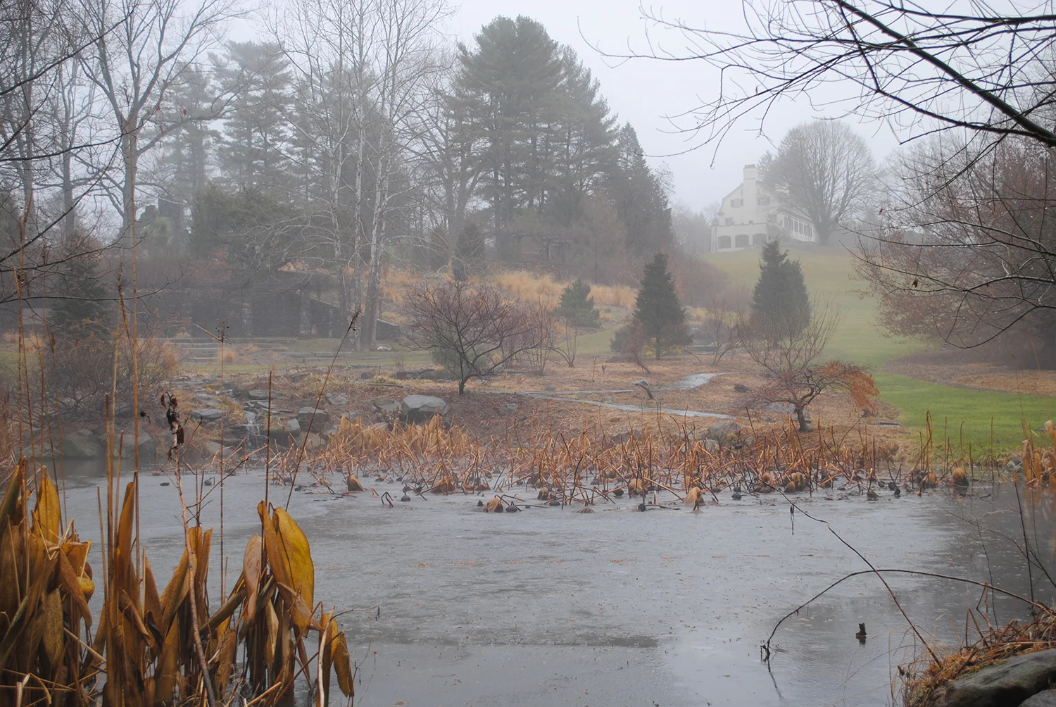 A final shot of a prominent primary axis that runs part of the length of Chanticleer. Such primary axes help to connect separate parts of a garden. 