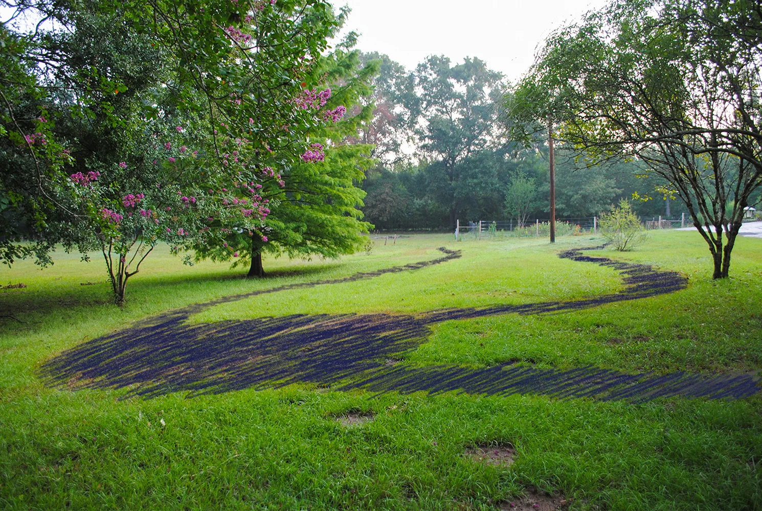 Just some scribblings. So that you could better see the paths and resting areas that I mowed, I colored them in on my iPad. This view is looking north toward our fenced in edible patch, and you can see how the length beckons for shorter plants that will create a nice vista over the prairie. 
