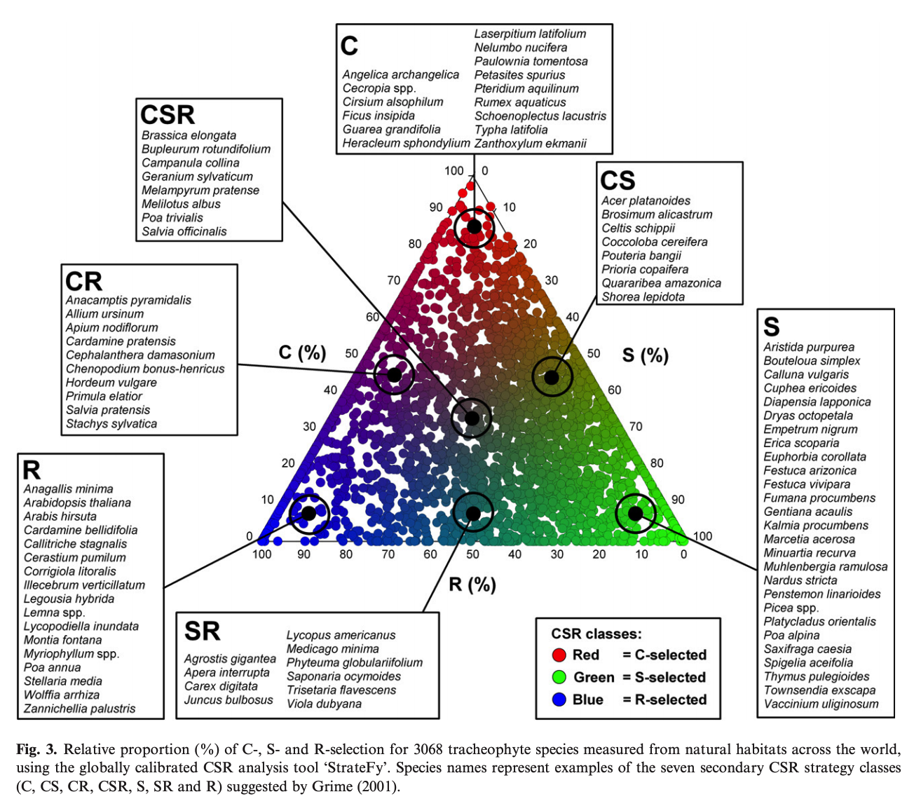 Stress tolerator Plant ed Blog By Dr Jared Barnes Meristem 23-cognitive-skills-examples-2025