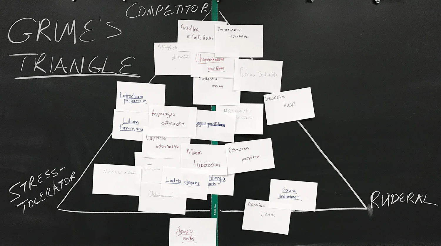Pin the plant on the triangle—a fun game to teach students about plant survival strategies. Based on your plant knowledge, how do you think they did?