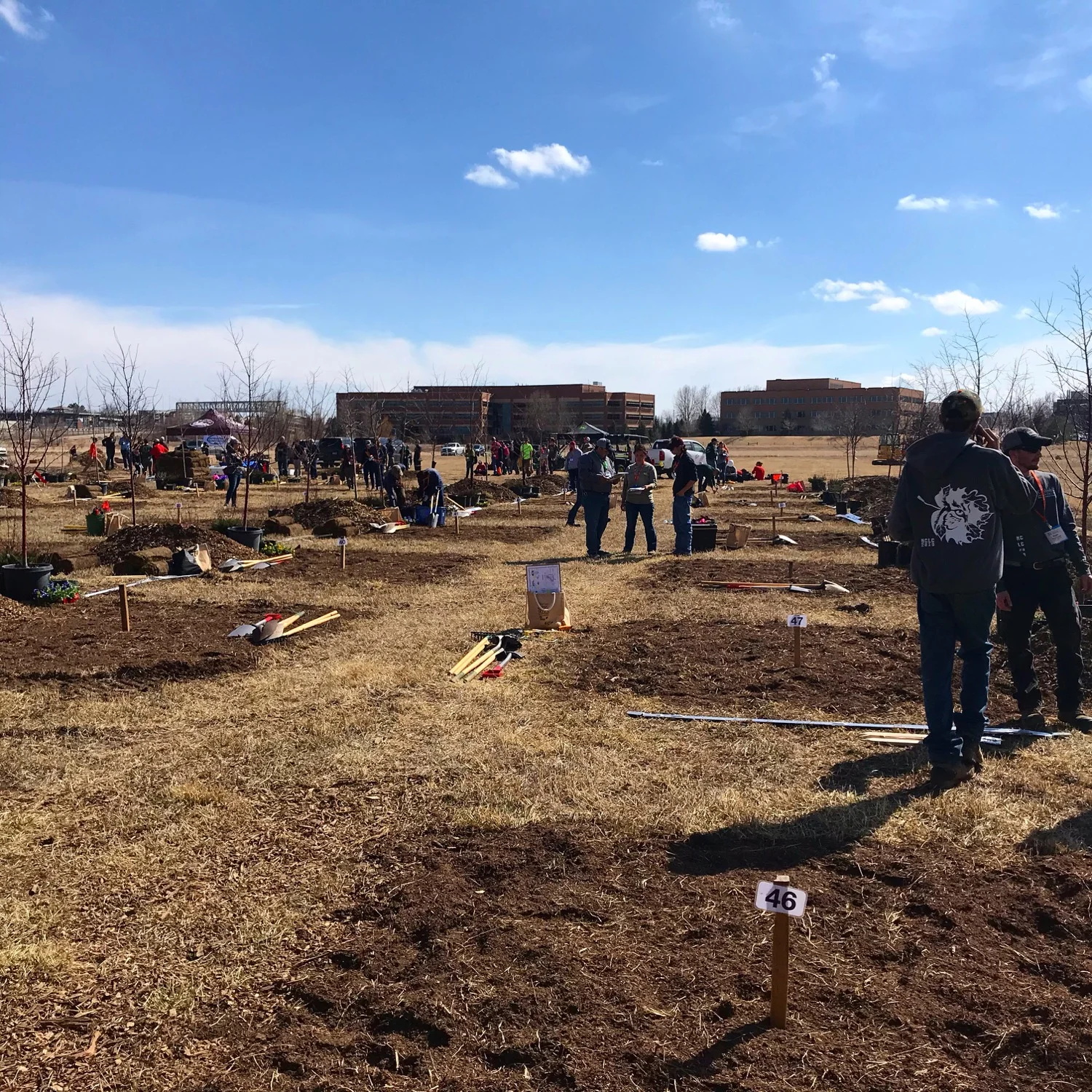 The last contest of the event is landscape installation teams of three have two hours to install a planting to spec.