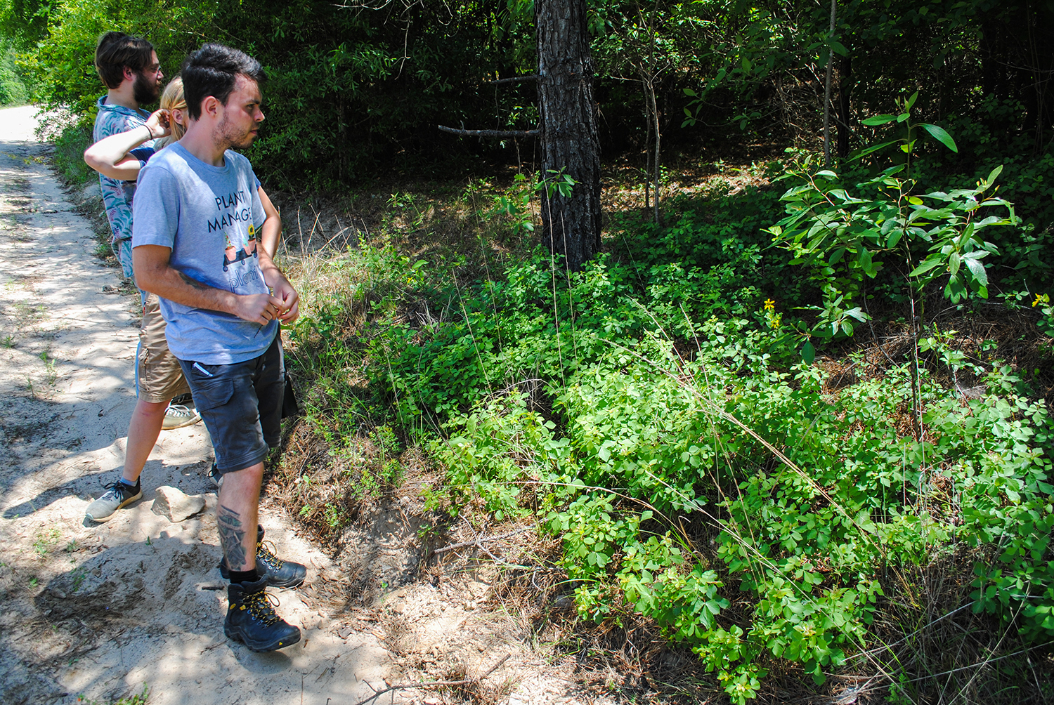 Students contemplate trusting Peter and me that this is actually three-leaf sumac ( Rhus trilobata ) and not poison ivy!