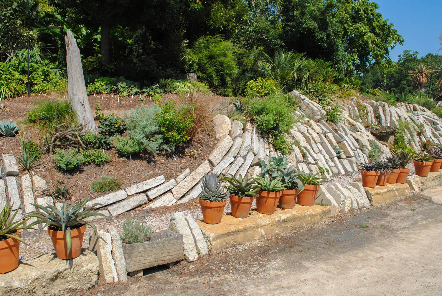 The crevice garden at Juniper Level Botanic Garden