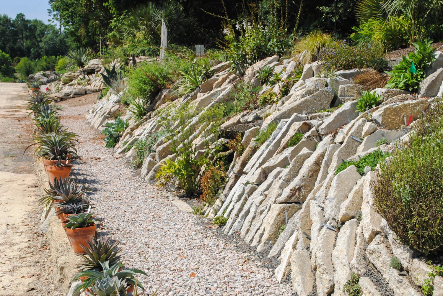 A long view of the crevice garden at Juniper Level Botanic Garden