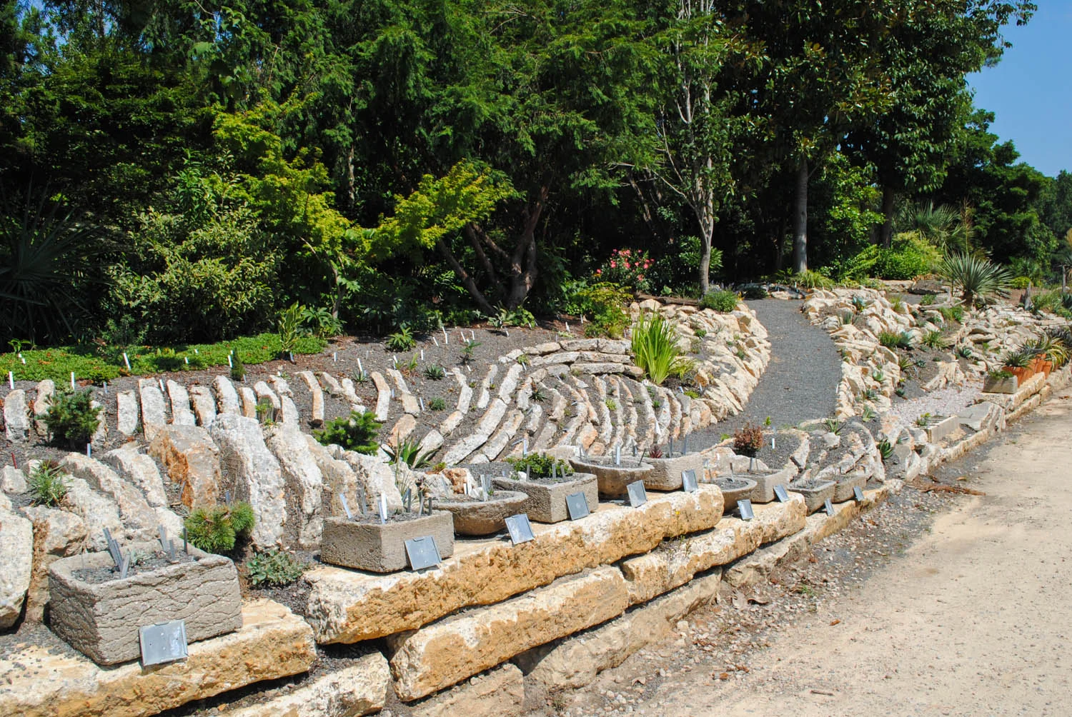 The troughs and containers complemented the crevice garden behind.