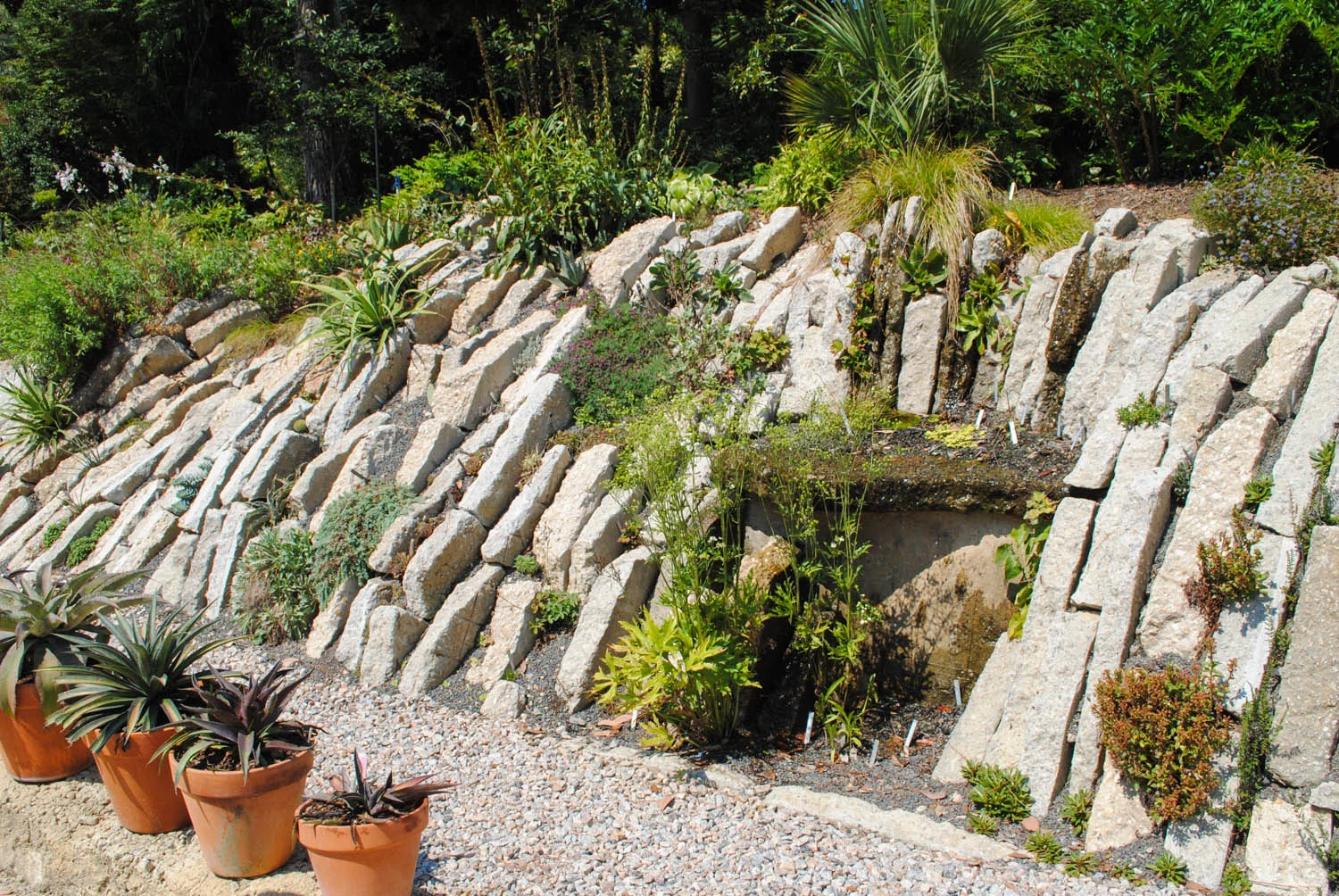 In this seep water comes off the flat rock and drips into the planting below.