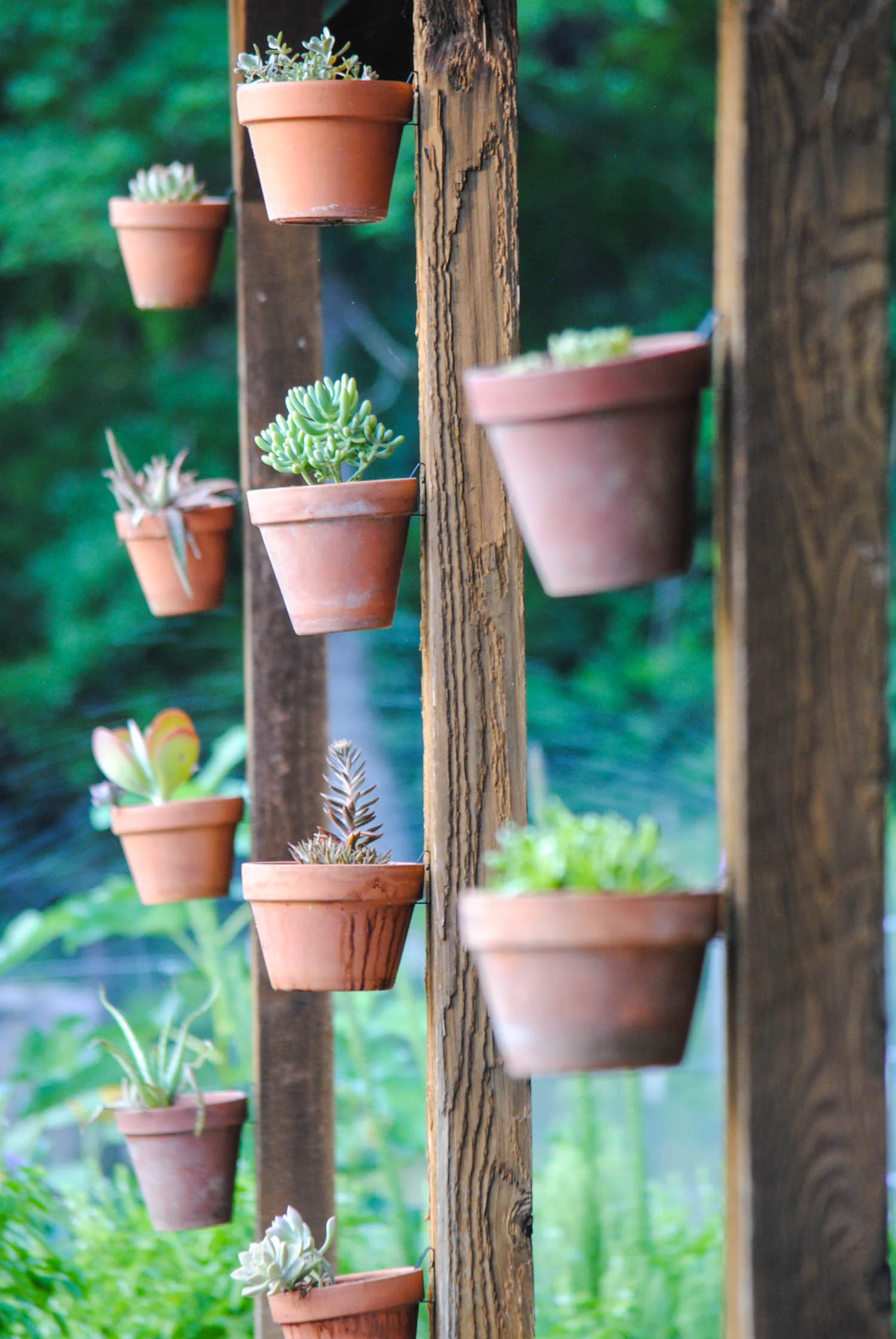 I’ve Been Hanging Pots Around