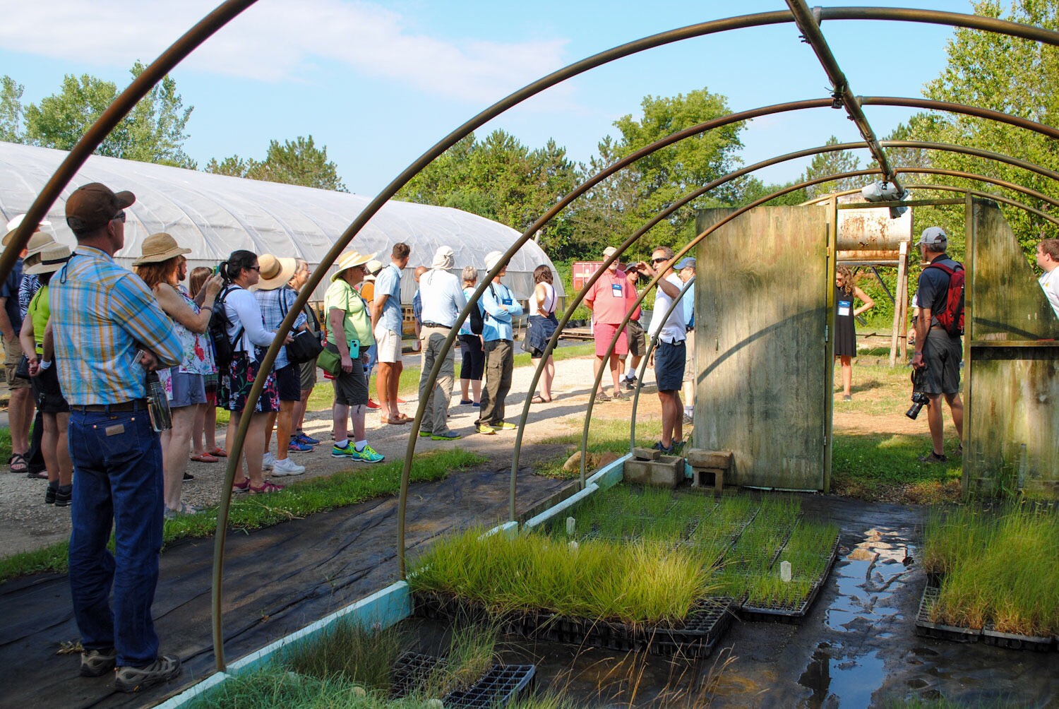 In this older section of the nursery, Brent Horvath of Intrinsic Perennial Gardens gave us an overview of the company’s history.