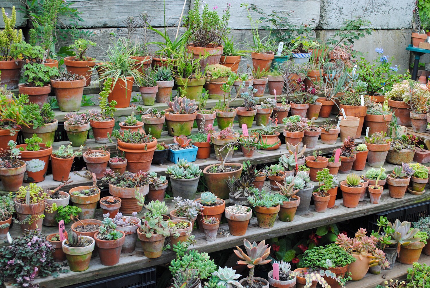 So neat and tidy!