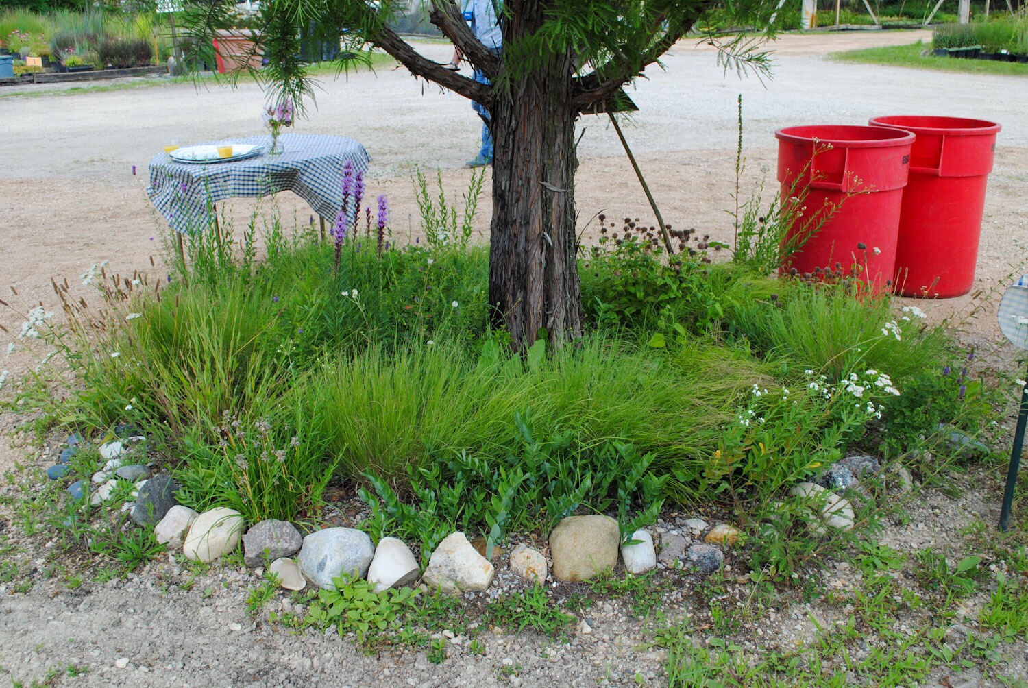 Brent showed us a small circular garden that’s 9 feet wide. It was a great model for just how small an effective naturalistic planting can be.