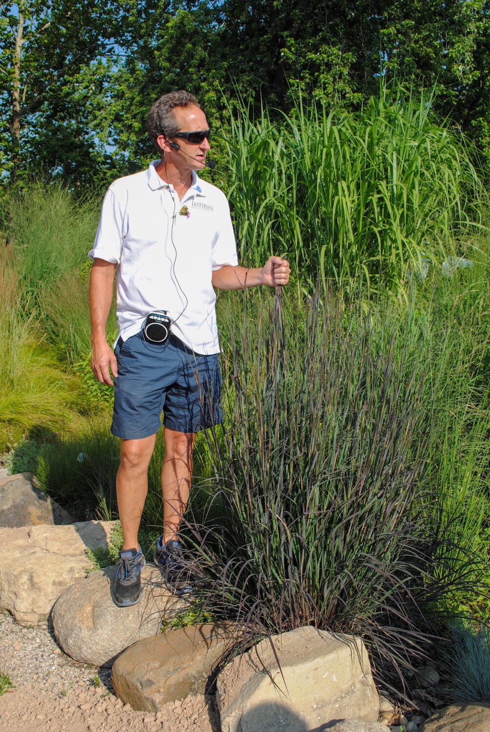 In the grass garden Brent stands with a ‘Blackhawks’ Andropogon, a nice purple form that he selected.