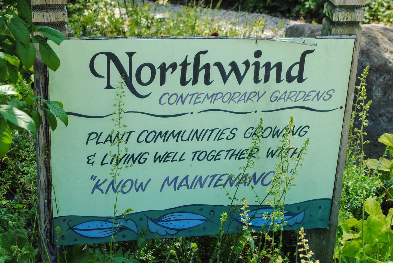 The truth of “know maintenance” instead of the fallacy of “no maintenance”, a belief imbued in the plantings at Northwind.