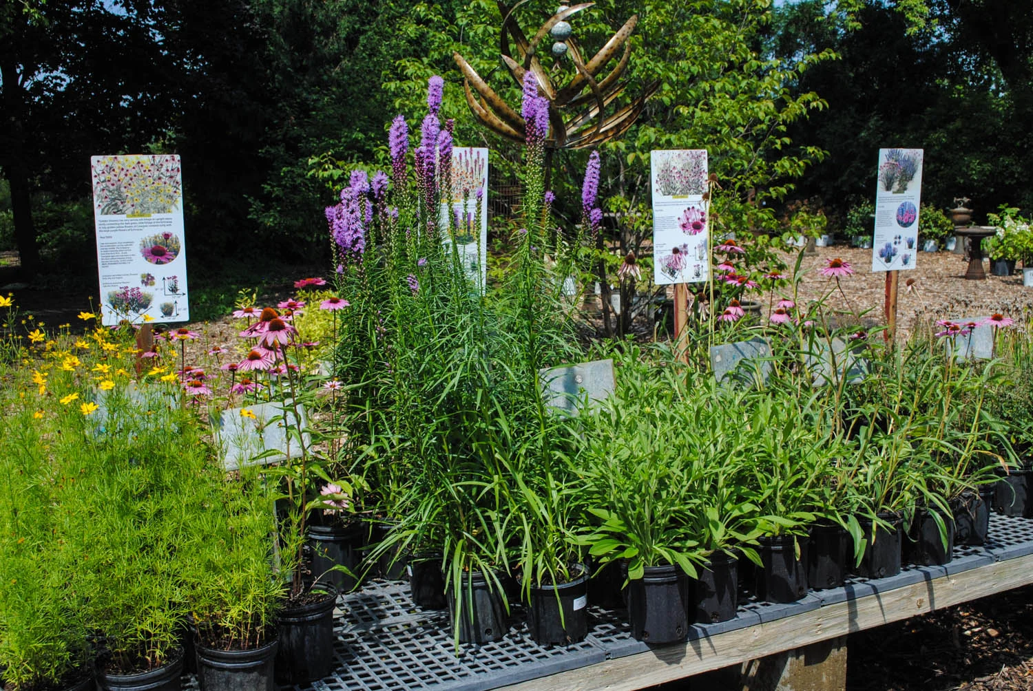 This bench features plants that grow well together. The signage helps customers understand how and when to plant them.
