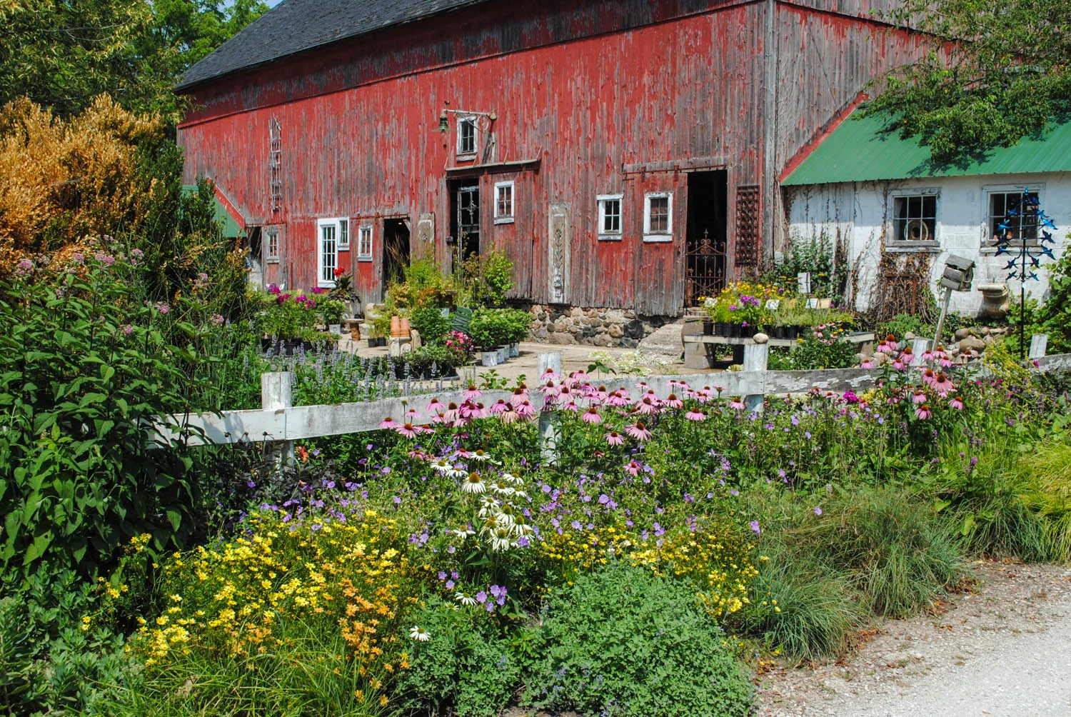 PPA 2019: North to Northwind Perennial Farm