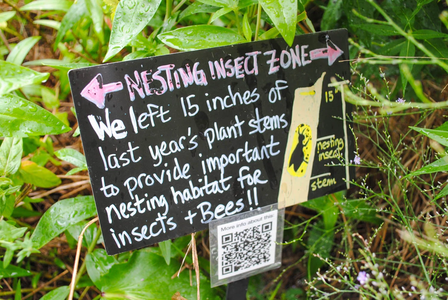 Great sign! Love the drawing, too!!!