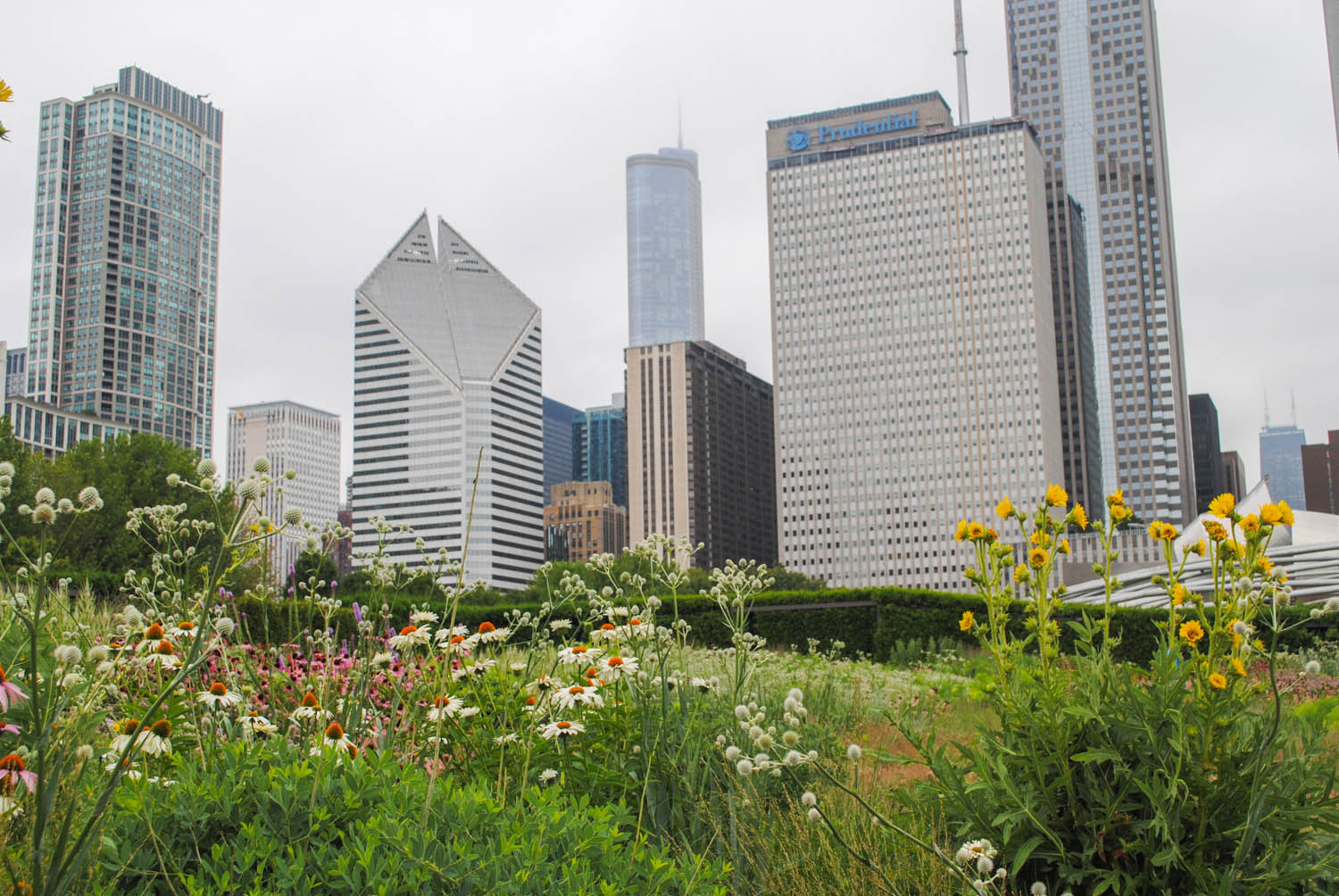 The Allure Of Lurie Garden Meristem