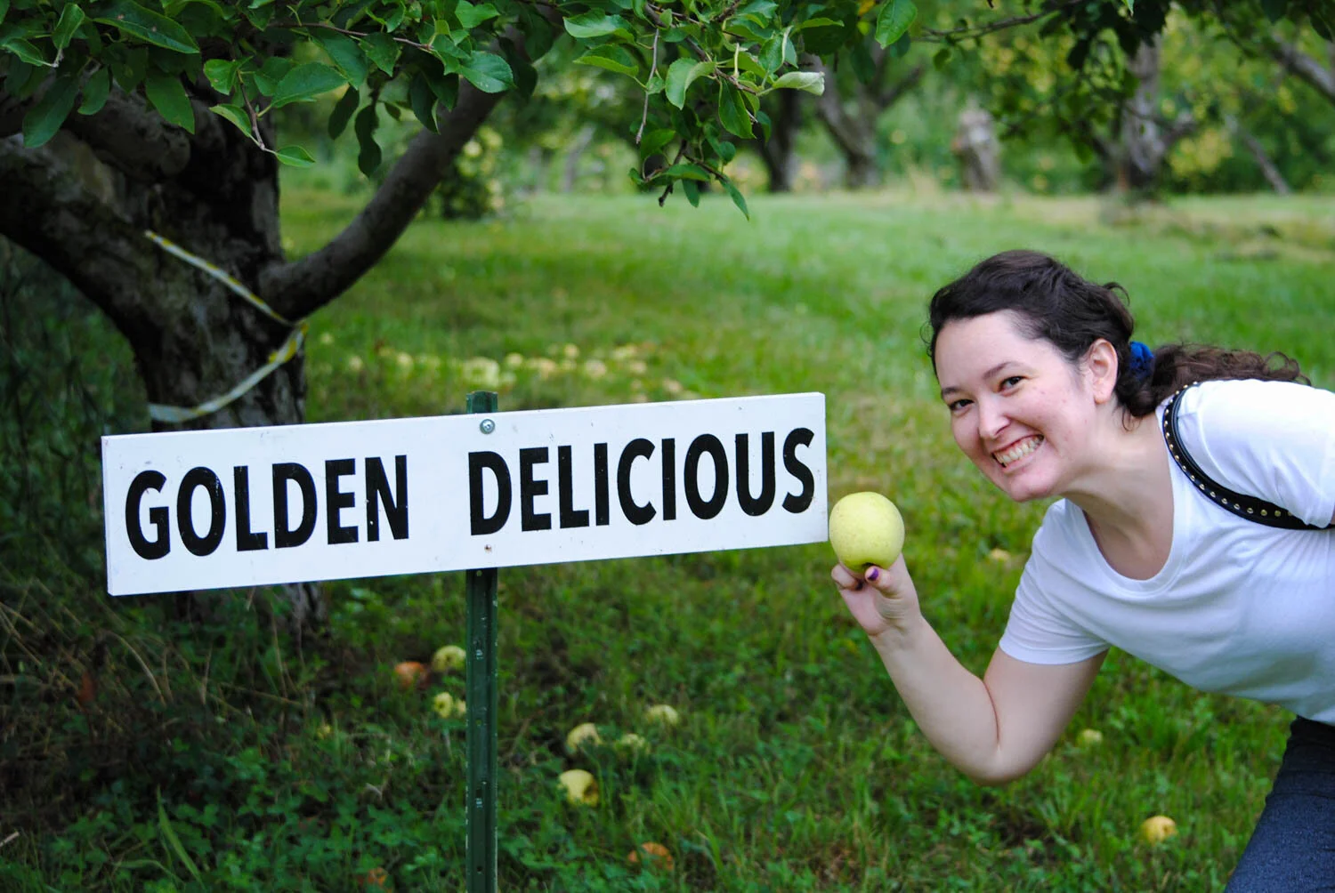 Karen modelling a ‘Golden Delicious’ apple.