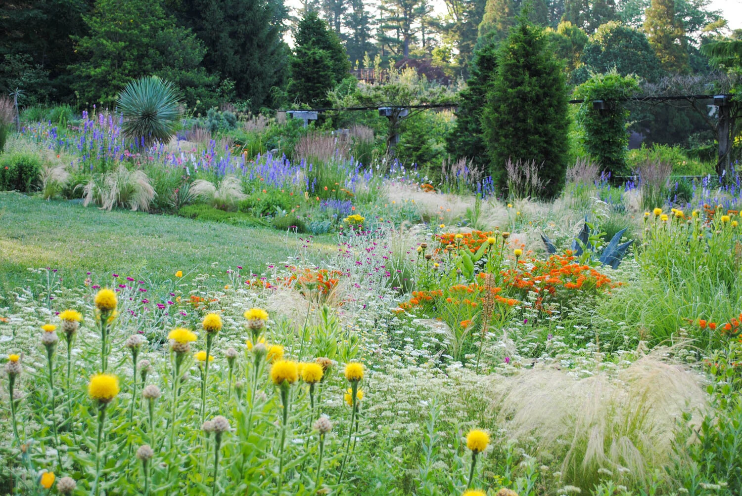 Guest Gardening at Chanticleer, Day Two