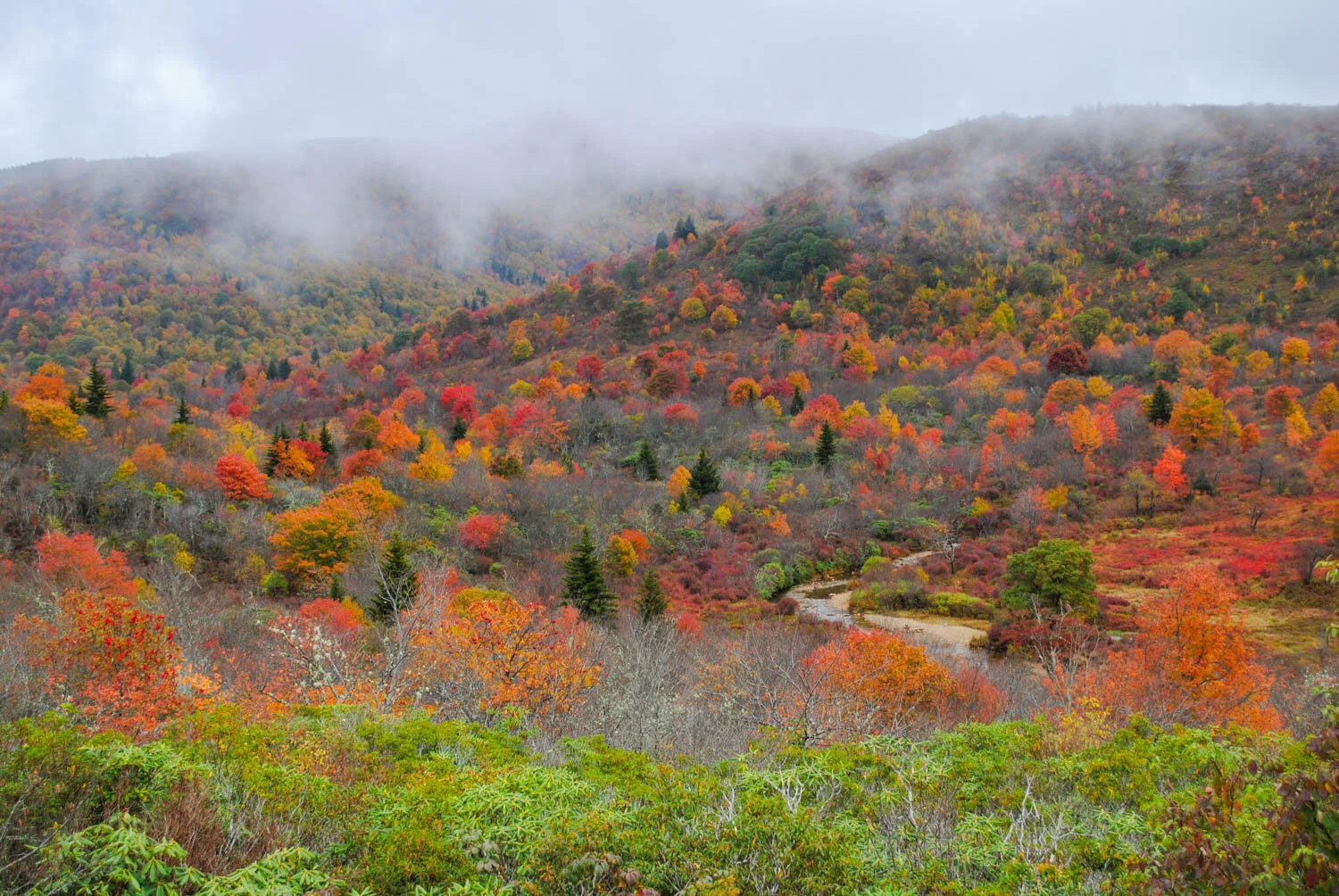 Fall Color at Graveyard Fields